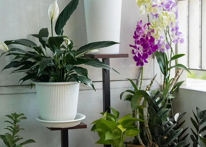 Vela 818 1 Bedroom 75 Sqm Bts Chidlom 公寓